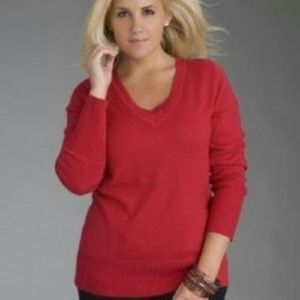 **NWOT Lane Bryant V-Neck Long Sleeve Career Sweat